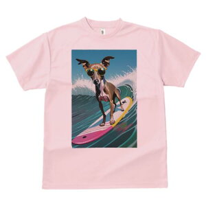 C^AO[nEh TVc  j[NfUCfB[X t@  t vg lJWA 킢 lԗp Mtg I ҏ΍ T[tB C^AO[n