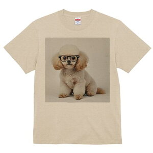 gCv[h TVc  j[NfUCY LbY t@  t vg lJWA 킢 lԗp Mtg I ҏ΍ Kl gCv[h