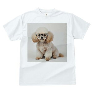 gCv[h TVc  j[NfUCY LbY t@  t vg lJWA 킢 lԗp Mtg I ҏ΍ Kl gCv[h