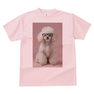 v[h TVc  j[NfUCY LbY t@  t vg lJWA 킢 lԗp Mtg I ҏ΍ Kl v[h