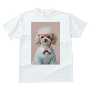 gCv[h TVc  j[NfUCfB[X t@  t vg lJWA 킢 lԗp Mtg I ҏ΍ Kl gCv[h Vc lN^C