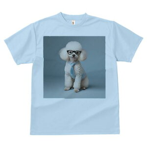 v[h TVc  j[NfUCfB[X t@  t vg lJWA 킢 lԗp Mtg I ҏ΍ lN^C v[h ዾ 