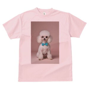 gCv[h TVc  j[NfUCfB[X t@  t vg lJWA 킢 lԗp Mtg I ҏ΍ Kl gCv[h lN^C