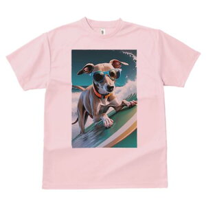 C^AO[nEh TVc  j[NfUCfB[X t@  t vg lJWA 킢 lԗp Mtg I ҏ΍ T[tB C^AO[n