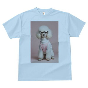 v[h TVc  j[NfUCfB[X t@  t vg lJWA 킢 lԗp Mtg I ҏ΍ Kl v[h Z[^[ sN