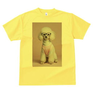 v[h TVc  j[NfUCY LbY t@  t vg lJWA 킢 lԗp Mtg I ҏ΍ Kl v[h Z[^[ sN