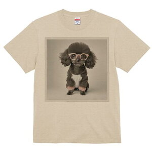 gCv[h TVc  j[NfUCfB[X t@  t vg lJWA 킢 lԗp Mtg I ҏ΍ Kl gCv[h 