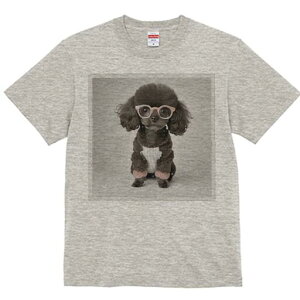 gCv[h TVc  j[NfUCfB[X t@  t vg lJWA 킢 lԗp Mtg I ҏ΍ Kl gCv[h 