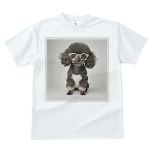 gCv[h TVc  j[NfUCfB[X t@  t vg lJWA 킢 lԗp Mtg I ҏ΍ Kl gCv[h 