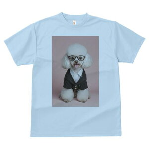 gCv[h TVc  j[NfUCfB[X t@  t vg lJWA 킢 lԗp Mtg I ҏ΍ X[c gCv[h ዾ rWlX