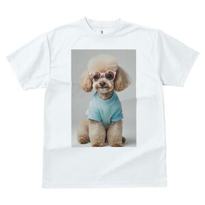 gCv[h TVc  j[NfUCY LbY t@  t vg lJWA 킢 lԗp Mtg I ҏ΍ gCv[h Kl