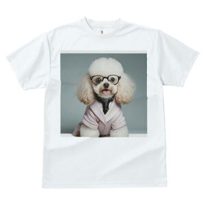 gCv[h TVc  j[NfUCY LbY t@  t vg lJWA 킢 lԗp Mtg I ҏ΍ Kl gCv[h WPbg lN^C