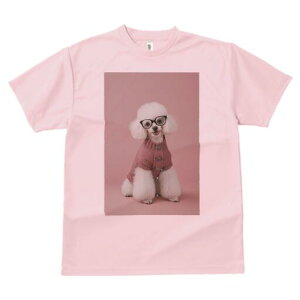 gCv[h TVc  j[NfUCfB[X t@  t vg lJWA 킢 lԗp Mtg I ҏ΍ Kl gCv[h Z[^[ sN