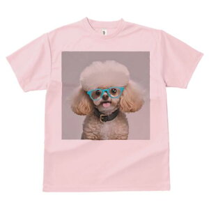 gCv[h TVc  j[NfUCY LbY t@  t vg lJWA 킢 lԗp Mtg I ҏ΍ Kl gCv[h 