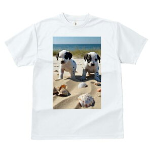 _VA TVc  j[NfUCfB[X t@  t vg lJWA 킢 lԗp Mtg I ҏ΍ r[` _VA C  Lk