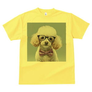 v[h TVc  j[NfUCfB[X t@  t vg lJWA 킢 lԗp Mtg I ҏ΍ Kl v[h lN^C