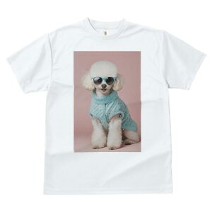 v[h TVc  j[NfUCfB[X t@  t vg lJWA 킢 lԗp Mtg I ҏ΍ TOX v[h Z[^[