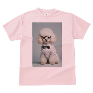 v[h TVc  j[NfUCY LbY t@  t vg lJWA 킢 lԗp Mtg I ҏ΍ Kl v[h lN^C Vc