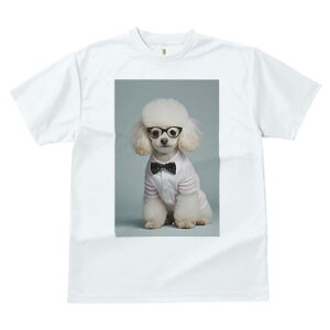 v[h TVc  j[NfUCfB[X t@  t vg lJWA 킢 lԗp Mtg I ҏ΍ Kl v[h lN^C Vc