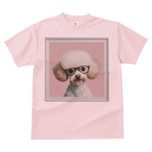 gCv[h TVc  j[NfUCfB[X t@  t vg lJWA 킢 lԗp Mtg I ҏ΍ Kl gCv[h