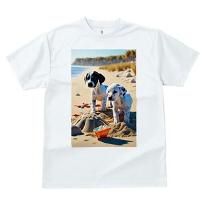 _VA TVc  j[NfUCfB[X t@  t vg lJWA 킢 lԗp Mtg I ҏ΍ r[` _VA C  