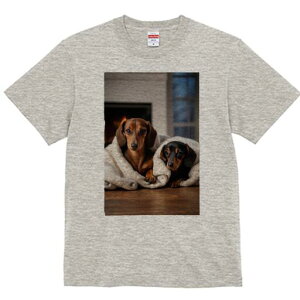 _bNXtg TVc  j[NfUCfB[X t@  t vg lJWA 킢 lԗp Mtg I ҏ΍ gF _bNXtg ѕz ؐ̏ 