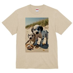 _VA TVc  j[NfUCfB[X t@  t vg lJWA 킢 lԗp Mtg I ҏ΍ l _VA Lk