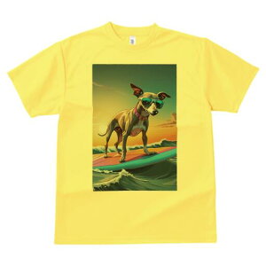 C^AO[nEh TVc  j[NfUCfB[X t@  t vg lJWA 킢 lԗp Mtg I ҏ΍ T[tB C^AO[n