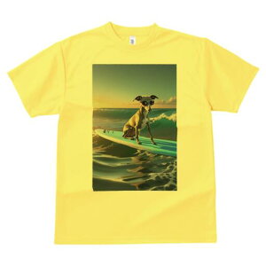 C^AO[nEh TVc  j[NfUCfB[X t@  t vg lJWA 킢 lԗp Mtg I ҏ΍ T[tB C^AO[n