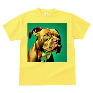 AJsbgueA TVc  j[NfUCfB[X t@  t vg lJWA 킢 lԗp Mtg I ҏ΍ AJsbgueA