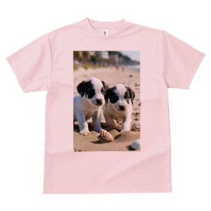 CObVZ^[ TVc  j[NfUCfB[X t@  t vg lJWA 킢 lԗp Mtg I ҏ΍ r[` CObVZ^[  L