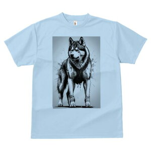 VxAnXL[ TVc  j[NfUCfB[X t@  t vg lJWA 킢 lԗp Mtg I ҏ΍ n[lX VxAnXL[