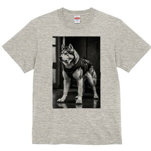 nXL[ TVc  j[NfUCfB[X t@  t vg lJWA 킢 lԗp Mtg I ҏ΍ nXL[