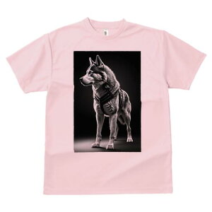 VxAnXL[ TVc  j[NfUCfB[X t@  t vg lJWA 킢 lԗp Mtg I ҏ΍ n[lX VxAnXL[