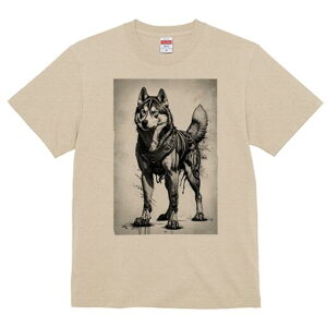 VxAnXL[ TVc  j[NfUCfB[X t@  t vg lJWA 킢 lԗp Mtg I ҏ΍ VxAnXL[