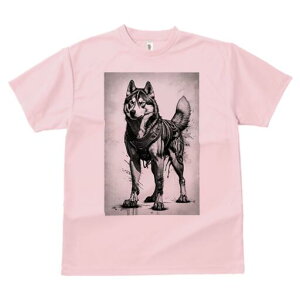 VxAnXL[ TVc  j[NfUCfB[X t@  t vg lJWA 킢 lԗp Mtg I ҏ΍ VxAnXL[