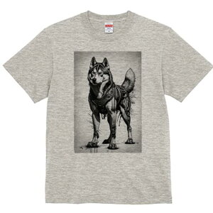 VxAnXL[ TVc  j[NfUCfB[X t@  t vg lJWA 킢 lԗp Mtg I ҏ΍ VxAnXL[