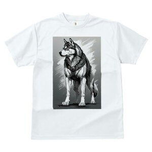 nXL[ TVc  j[NfUCfB[X t@  t vg lJWA 킢 lԗp Mtg I ҏ΍ n[lX nXL[