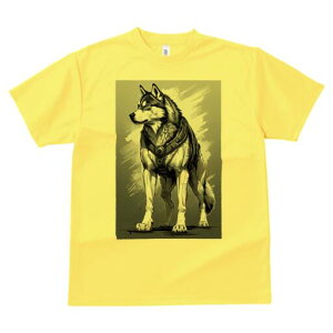 nXL[ TVc  j[NfUCfB[X t@  t vg lJWA 킢 lԗp Mtg I ҏ΍ n[lX nXL[