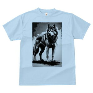 nXL[ TVc  j[NfUCfB[X t@  t vg lJWA 킢 lԗp Mtg I ҏ΍ nXL[