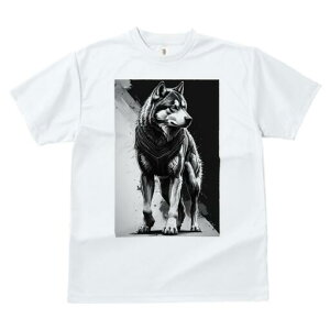 nXL[ TVc  j[NfUCfB[X t@  t vg lJWA 킢 lԗp Mtg I ҏ΍ nXL[