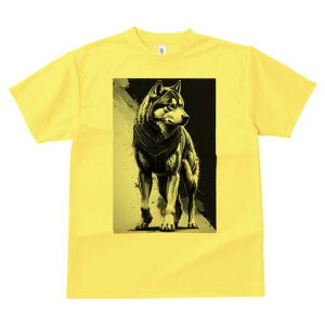 nXL[ TVc  j[NfUCfB[X t@  t vg lJWA 킢 lԗp Mtg I ҏ΍ nXL[