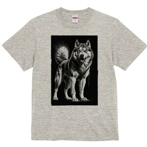 nXL[ TVc  j[NfUCfB[X t@  t vg lJWA 킢 lԗp Mtg I ҏ΍ nXL[