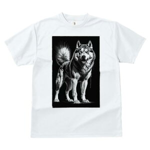 nXL[ TVc  j[NfUCfB[X t@  t vg lJWA 킢 lԗp Mtg I ҏ΍ nXL[