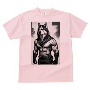 VxAnXL[ TVc  j[NfUCfB[X t@  t vg lJWA 킢 lԗp Mtg I ҏ΍ ؓ VxAnXL[ }b` 