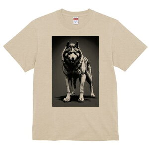 nXL[ TVc  j[NfUCfB[X t@  t vg lJWA 킢 lԗp Mtg I ҏ΍ nXL[