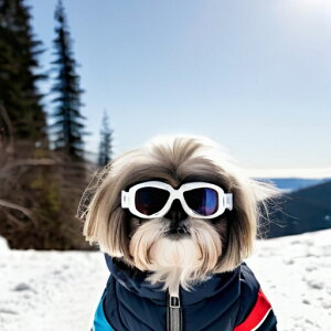  V[Y[ ~ XL[EFA S[O NbVJo[ 45×45cm Aj}   NbV{̕t `