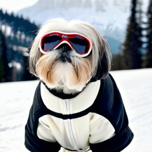 XL[ V[Y[ R XL[EFA NbVJo[ 45×45cm Aj}   NbV{̕t `