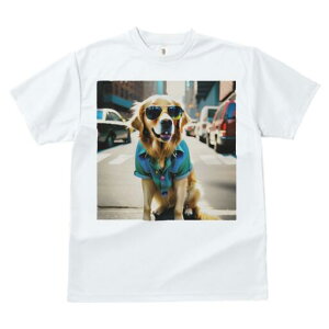 S[fgo[ TVc  j[NfUCfB[X t@  t vg lJWA 킢 lԗp Mtg I ҏ΍ TOX S[fgo[ 