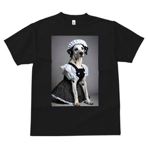 _VA TVc  j[NfUCfB[X t@  t vg lJWA 킢 lԗp Mtg I ҏ΍ Ch _VA ʖ͗l RX`[